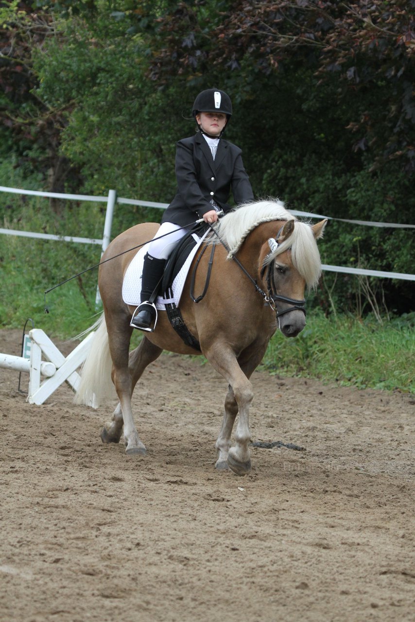 Bild 950 - WBO-Turnier am 18.9.11